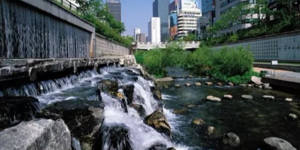河道景觀設(shè)計(jì)秘籍：駁岸、親水、綠化、綜合治理、生態(tài)修復(fù)及植物選擇